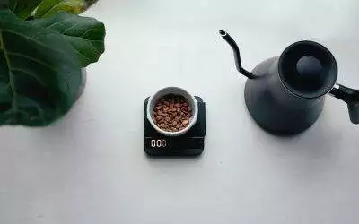 Descubre el sabor único de Café de Especialidad: Una experiencia para los amantes del café