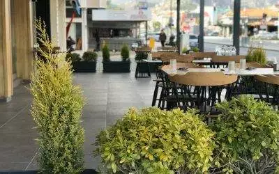 Descubre los beneficios del Café Verde: ¡La bebida saludable que necesitas en tu vida!