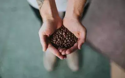 Dónde comprar granos de café de calidad