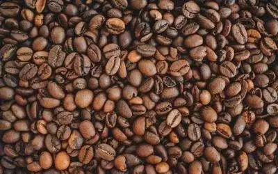¿Cuál es la diferencia entre el café arábica y Robusta?