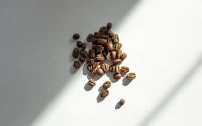 Descubre la deliciosa experiencia de Cafe Especialidad