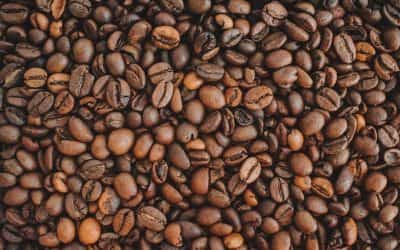 Cafe Especialidad Comprar: La Mejor Opción