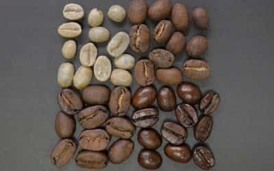 Descubre dónde comprar café de especialidad