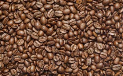 Café Especialidad en Línea: Descubre el Sabor Único