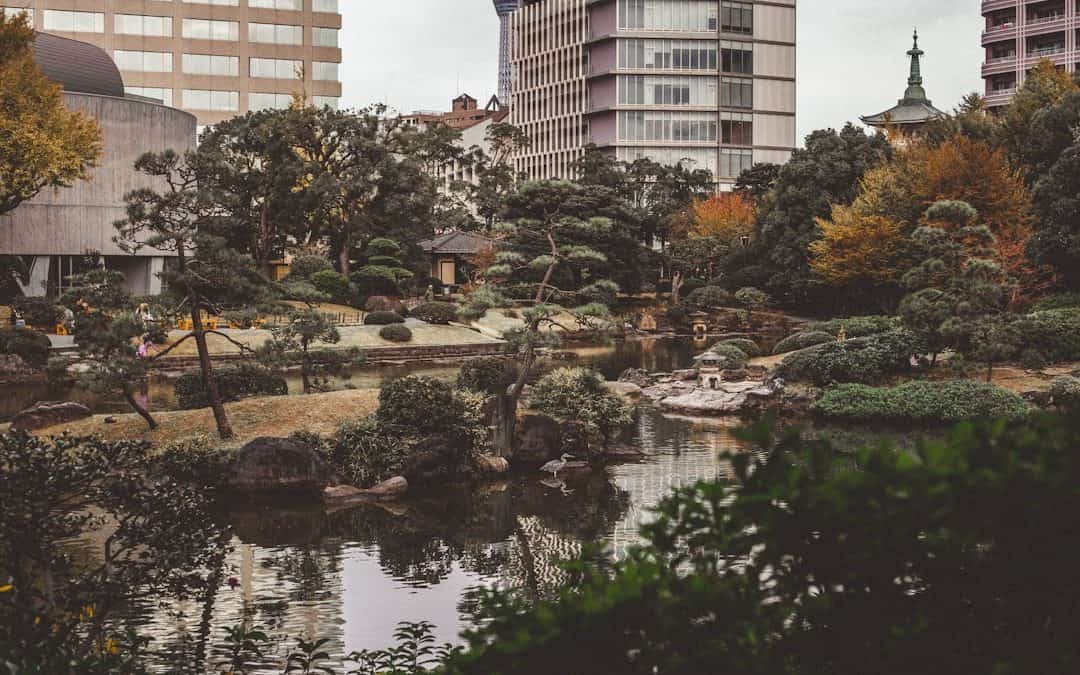 Photo Japanese garden