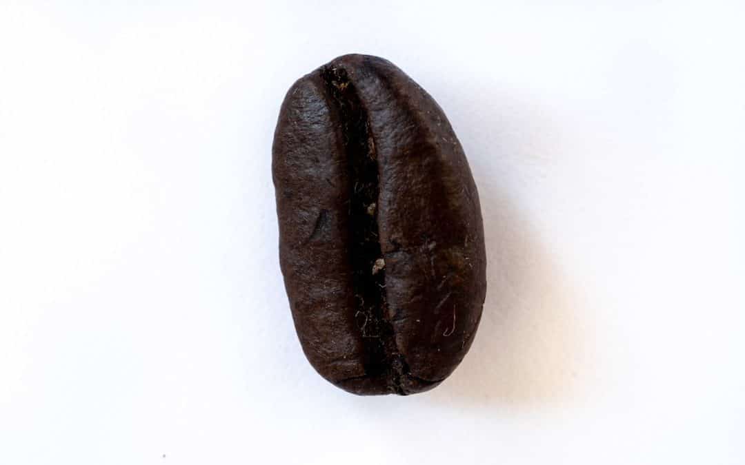 Photo Coffee beans