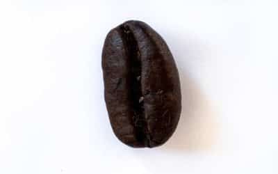 Guía para diferenciar café de especialidad