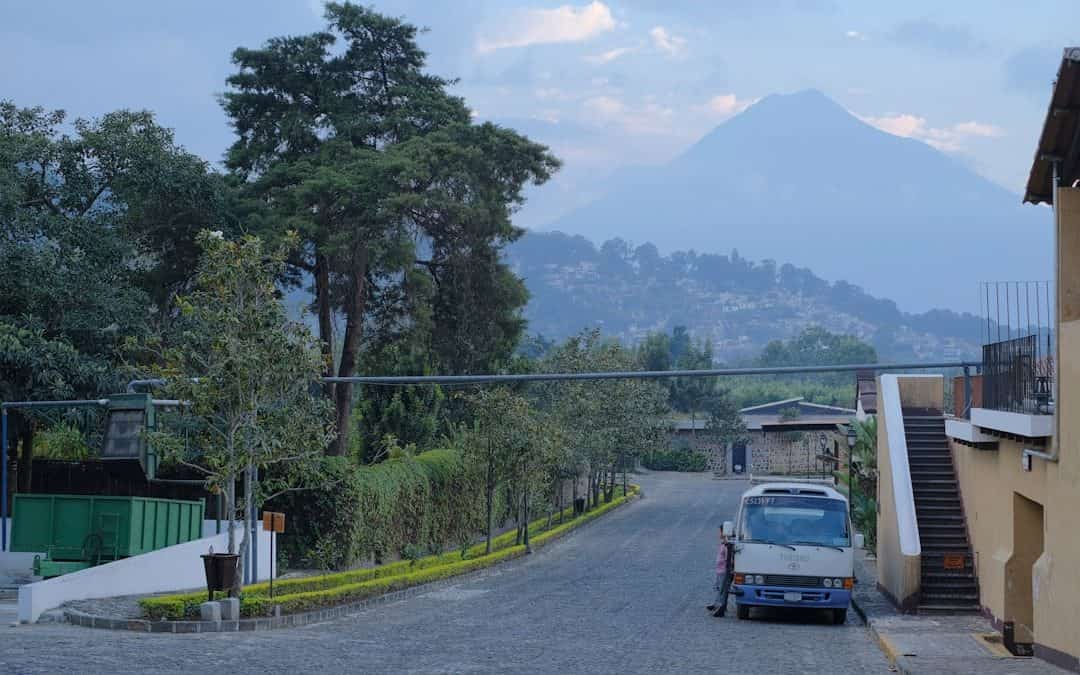 Photo Coffee farm