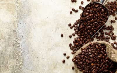 El mejor tostador de café: guía de compra completa
