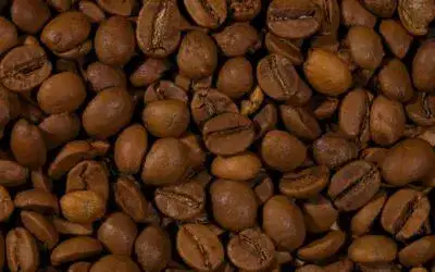 Descriptores de café para consumidores: ¿Qué quieres en tu taza?
