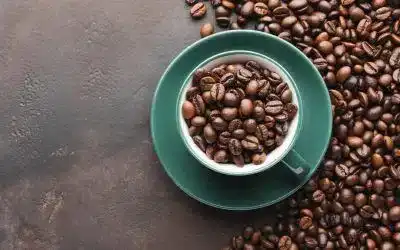 ¿Qué es el café de especialidad? Todo lo que necesitas saber