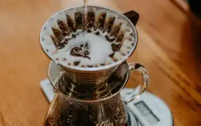 Cafetera Kalita Wave