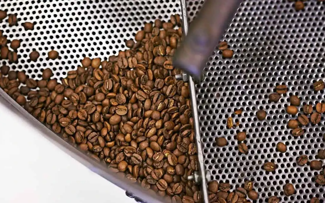 ¿Cuál es el mejor café?