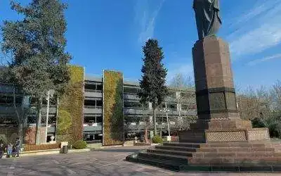 Descubre las sorprendentes estadísticas del café: ¿Sabías que es la segunda bebida más consumida en el mundo?