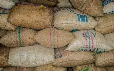 Explorando los sabores de Cafe De Etiopia: Una experiencia única en el mundo del café