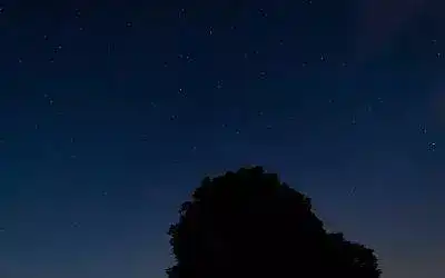 Descubre los increíbles beneficios de Cafe Negro para tu salud