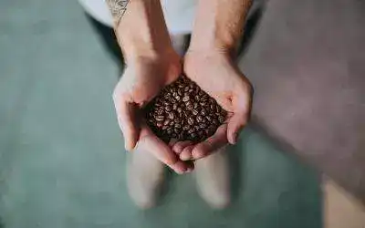¿Cuál es la mejor variedad de café del mundo?