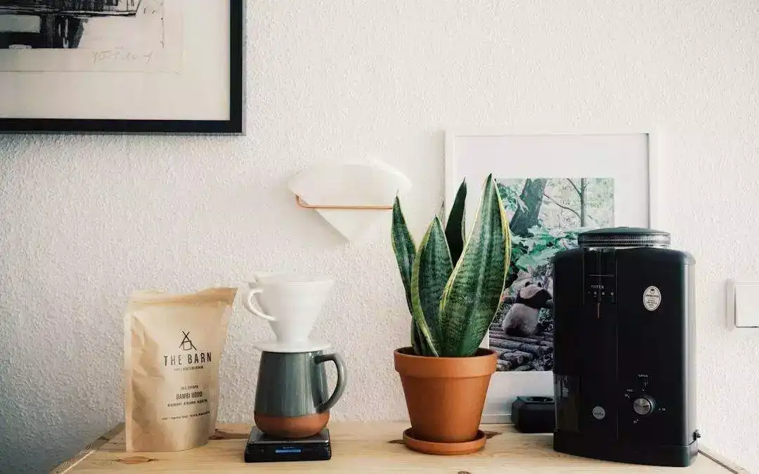 Descubre el sabor único de Cafe Especialidad en tu cafetería favorita