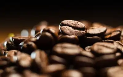 Café de altura: el sabor que eleva tus sentidos.