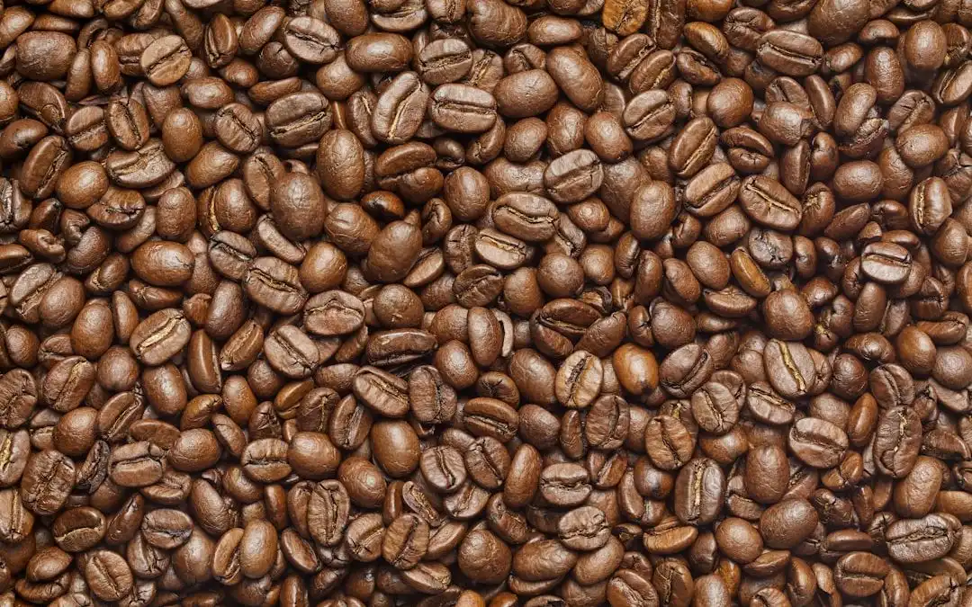 Photo coffee beans