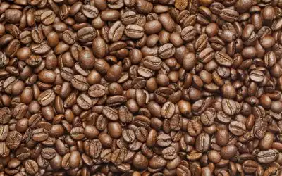 SlowMov Tostador Barcelona: El arte del café