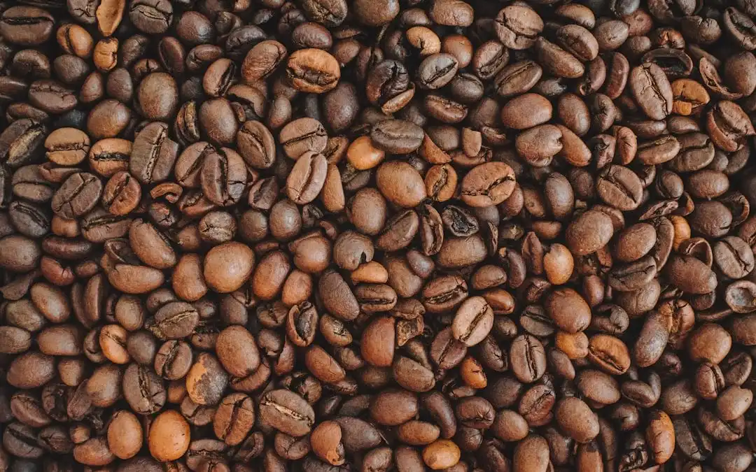 Photo Coffee beans