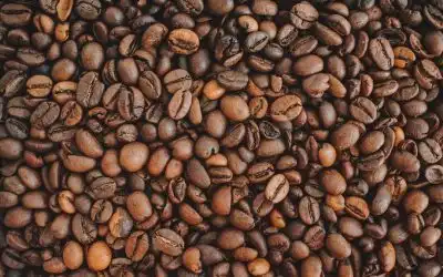 Café Especialidad Comprar: La Guía Definitiva