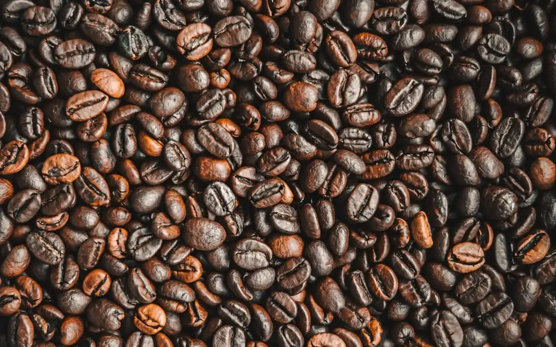 Descubre el mundo del café gourmet