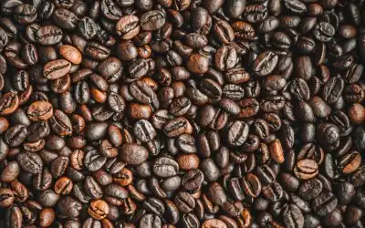 Descubre el mundo del café gourmet