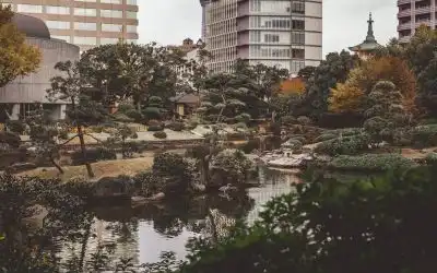 El encanto del café Geisha: una experiencia única