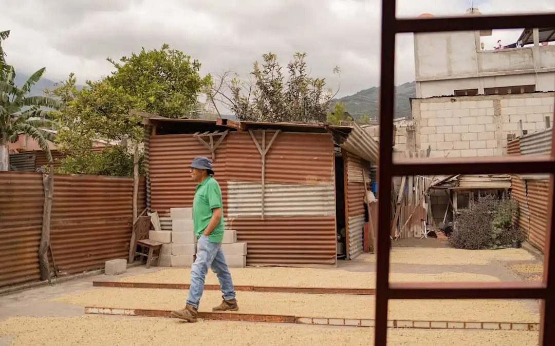 Descubre el café de origen único