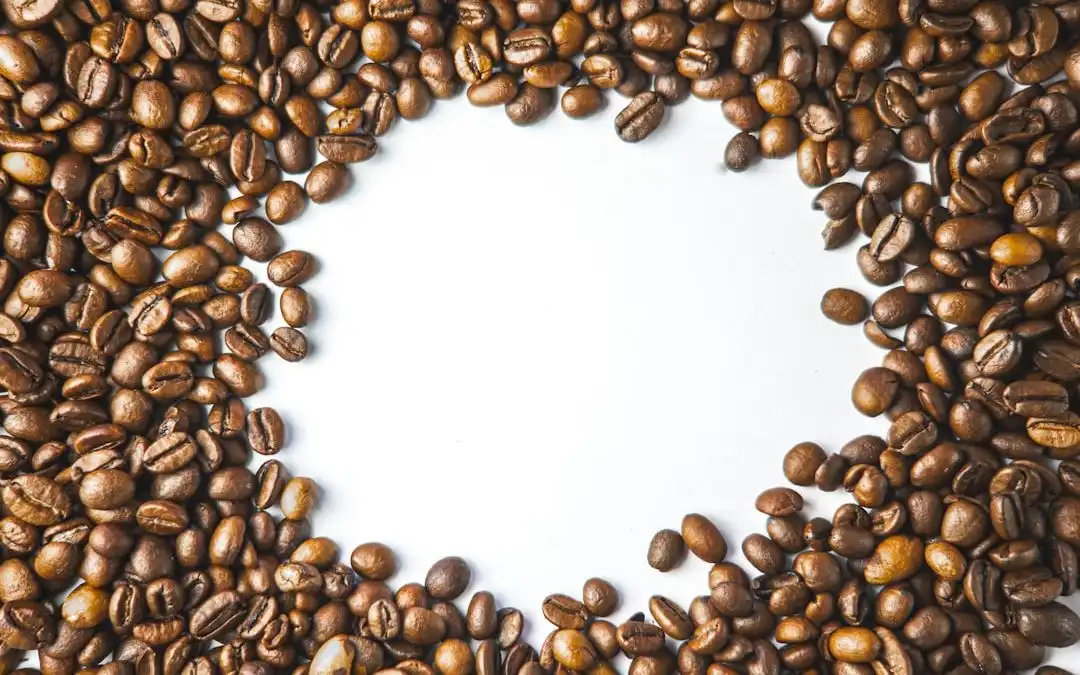 Descubre el encanto del café Bourbon