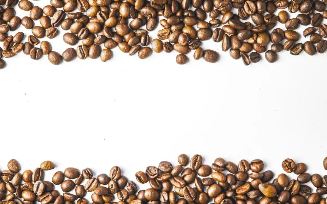 El perfil de tostado del café: descubriendo sus matices