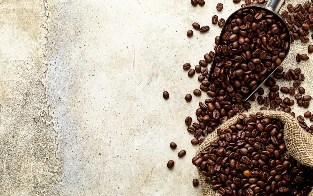 El mejor tostador de café: guía de compra completa