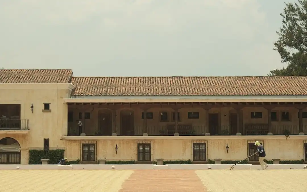El desafío de la sostenibilidad en el café