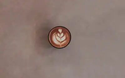 Café Especialidad: El Arte de la Taza Perfecta