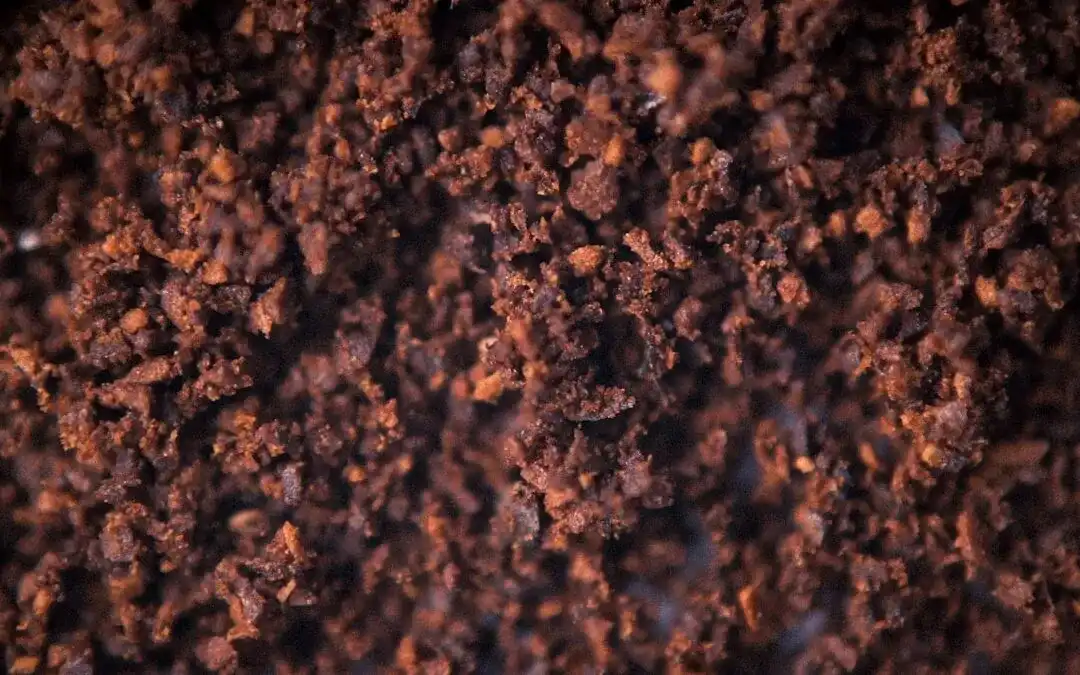 ¿Qué son estas escamas marrón claro en mi café molido?