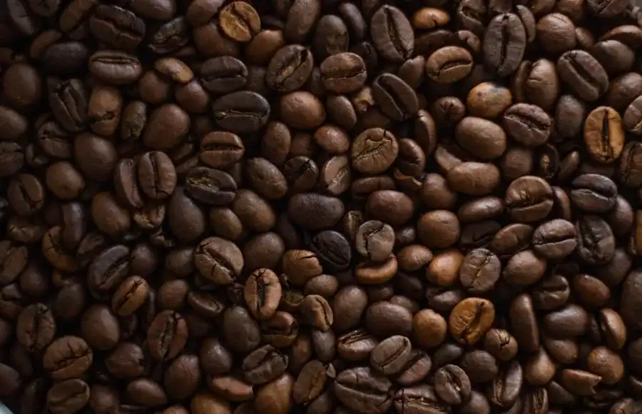 Photo coffee descriptors